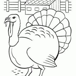 Printable Thanksgiving Coloring Page For Kids Of Cute Cartoon Turkey Drawing Wallpaper Colour