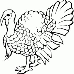 Turkeys Coloring Pages Kids Turkey Trending Days Last Color Page
