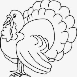 Turkeys Coloring Pages Home