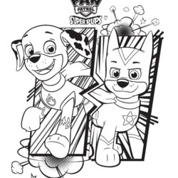 Paw Patrol Coloring Pages Best For Kids Print Page