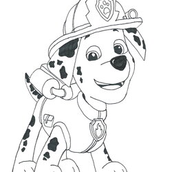 Worthy Free Coloring Pages Of Paw Patrol Marshall Drawing Print Printable Colouring Draw Color Sky Birthday