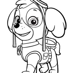 Outstanding Paw Patrol Coloring Pages Best For Kids Free Page