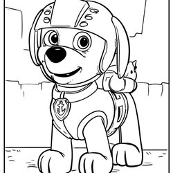 Capital Paw Patrol Coloring Pages Updated Pencils Paints Colored Look