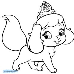 Matchless Puppy And Kitten Coloring Pages To Print At Free Pets Disney Pet Princess Color Printable Cute