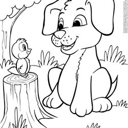 Superior Puppy And Kitten Coloring Pages Of