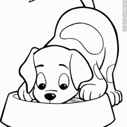 Sublime Kitten And Puppy Coloring Pages To Print Home Popular