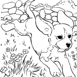 Perfect Free Coloring Pages Of Puppies And Kittens Download Clip Art Library Kitten Puppy Dog Book