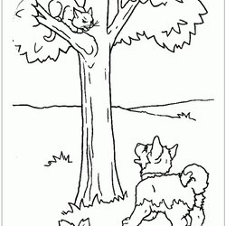 Puppy And Kitten Coloring Page Free Printable Pages Puppies Color Print
