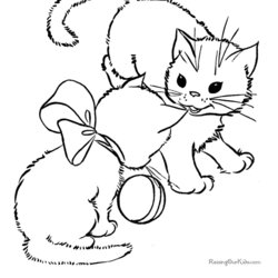 Smashing Puppy And Kitten Coloring Page Home Pages Sheets Cat Cats Printable Cute Kittens Color Ball Print