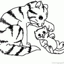 Great Kitten And Puppy Coloring Pages To Print Home Popular