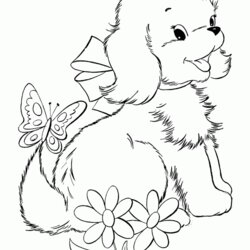 Magnificent Puppy And Kitten Coloring Page Home Pages Printable Comments