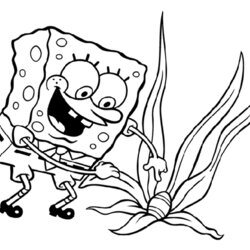 Legit Sponge Bob Coloring Page Child Pages Printable Sheet