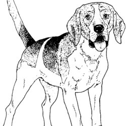 Matchless Realistic Puppy Coloring Pages Home Dog Animal Popular