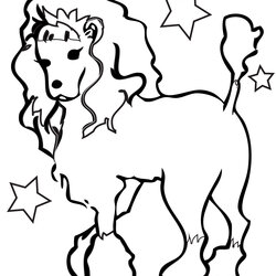 Sterling Dogs Coloring Pages Print Kids