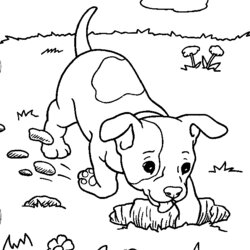 Out Of This World Dogs And Puppies Coloring Pages Free Cute Dog Puppy Kids Printable Sheets Simple Print