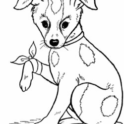Peerless Coloring Pages Of Dogs Dog