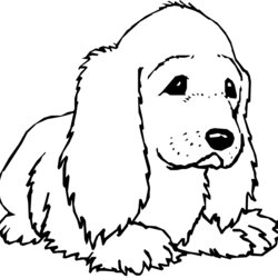 Wizard Dogs Coloring Pages Print