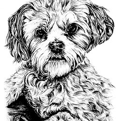 Superb Dog Coloring For Kids Dogs Pages Puppy Realistic Color Print Adult Printable Complex Adults Animals
