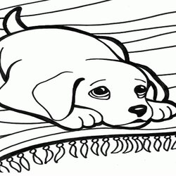 Great Easy Dog Coloring Page For Girls Dogs Pages Print