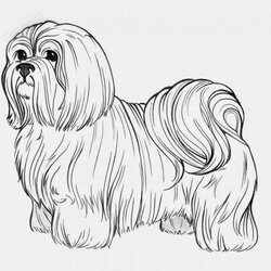Marvelous Coloring Pages Dogs Free And Printable Dog