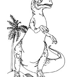 Fine Cute Rex Coloring Page Home Pages Dinosaur Kids Colouring Color Drawing Tree Coconut Standing Print