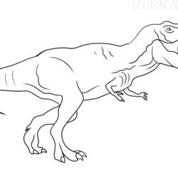 Rex Coloring Page Books Tyrannosaurus