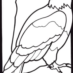 Splendid Crayola Coloring Pages Page Eagle Animals Bald Color Kids Cartoon Colouring Printable Animal Golden