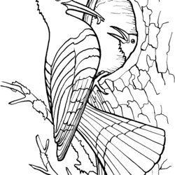 Capital Free Colouring In Sheet Coloring Page Gel Burning
