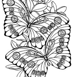 Outstanding Large Print Coloring Pages At Free Printable Color Butterfly Sheets Adult Adults Kids Flowers