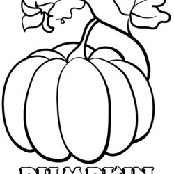 Capital Cute Pumpkin Printable Coloring Page Free Pages