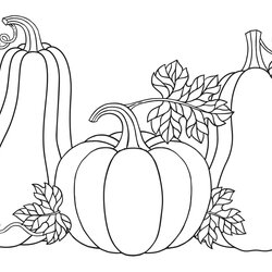 Fantastic Cute Pumpkins Coloring Page Printable
