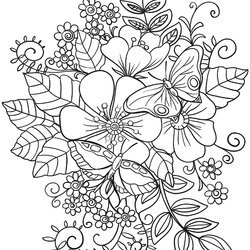 Out Of This World Brilliant Picture Flowers Coloring Pages Printable Butterflies Fit