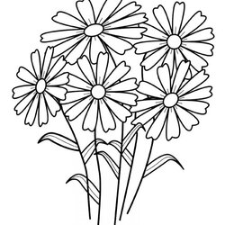 The Highest Quality Free Printable Flower Coloring Pages For Kids Adult