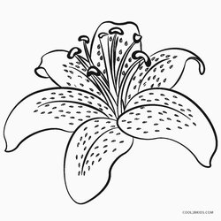 Matchless Free Printable Flower Coloring Pages For Kids Color Page