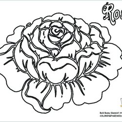 Flower Coloring Pages To Print At Free Printable Flowers Color