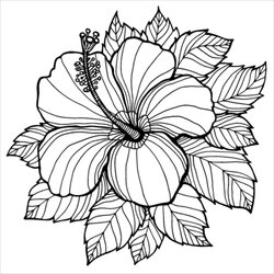 Excellent Flower Coloring Pages Color Sheets Print Spring Tulips