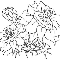 Tremendous Free Printable Flower Coloring Pages For Kids Best Print Images To