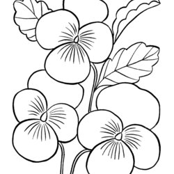 Spiffing Free Coloring Flowers Home Pages Popular