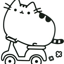 Supreme Coloring Pages Best For Kids Cat Motorbike On