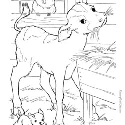 Marvelous Farm Animal Coloring Pages To Download And Print For Free