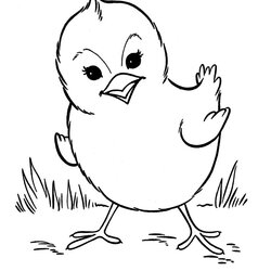 The Highest Quality Free Printable Farm Animal Coloring Pages For Kids Baby Print Chick