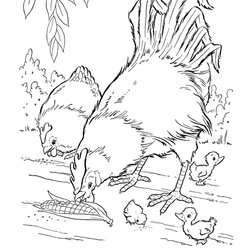 Champion Free Printable Farm Animal Coloring Pages For Kids Animals Page
