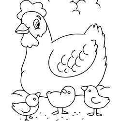 Matchless Farms Coloring Pages Home Chick Toddler Chickens