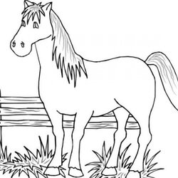 Swell Get This Free Printable Farm Animal Coloring Pages For Kids Animals Colouring Print Color Drawing