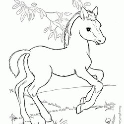Preeminent Free Printable Farm Animal Coloring Pages Online