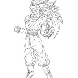 Wizard Son Dragon Ball Coloring Page Free Printable Pages