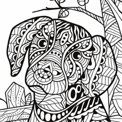 Wonderful Pin On New Coloring Sheets Adult