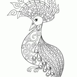 Fantastic Cool Coloring Pages For Adults Peacock Home Adult Easy Printable Popular Library Holiday
