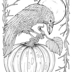 Magnificent Pages Fabulous Fall Digital Downloads To Color Crows Coloring Printable Adults Adult Choose Board