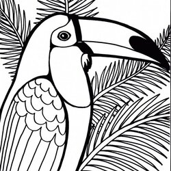 Worthy Top Beautiful High Detailed Illustrations Of Parrot Coloring Pages Sheet Printable